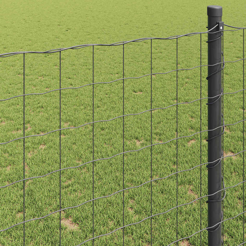 Recinzione Euro Grigio 0,6 x 50 m Ferro rivestito in PVC