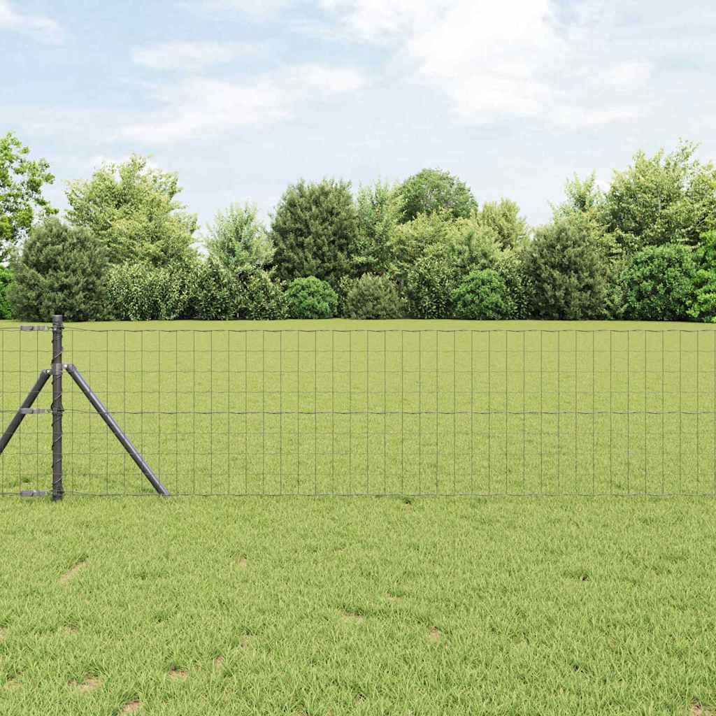 Recinzione Euro Grigio 0,6 x 50 m Ferro rivestito in PVC