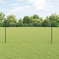 Recinzione in Rete Saldato Acciaio PVC 25 x 1 m
