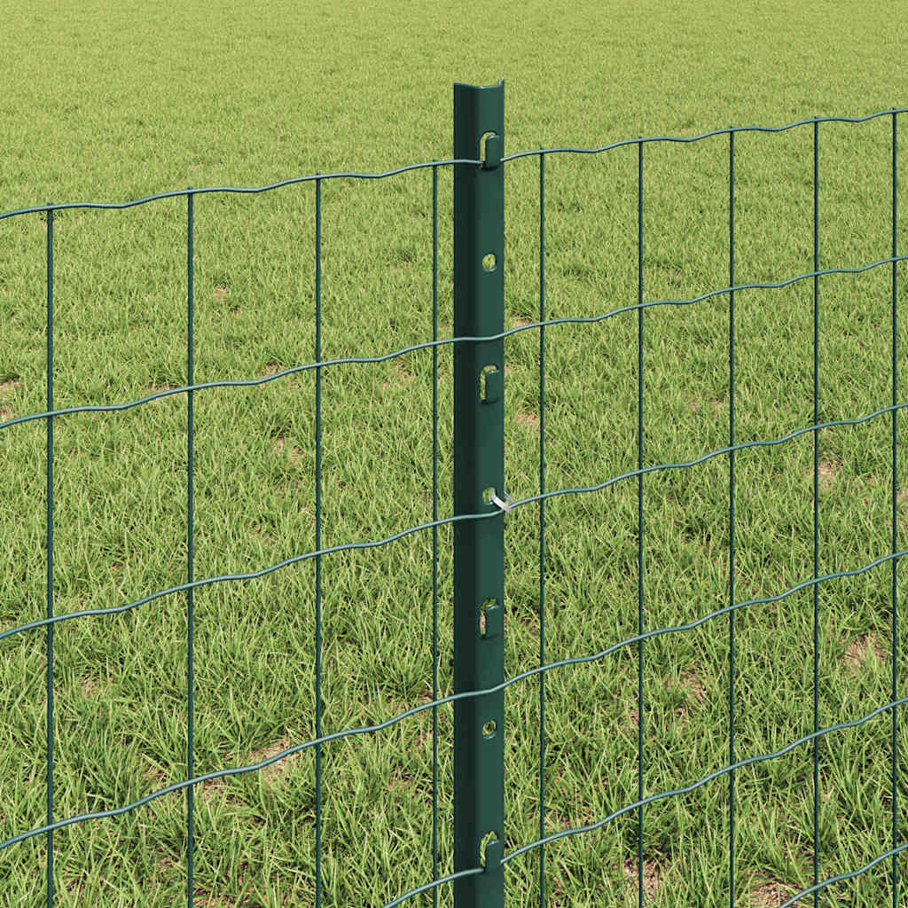 Recinzione in Rete Saldato 50 x 0,6 m - Acciaio Rivestito PVC Verde