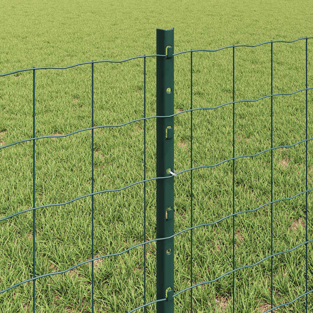 Recinzione in Rete Saldata 50 x 0,6 m - Acciaio Rivestito PVC Verde