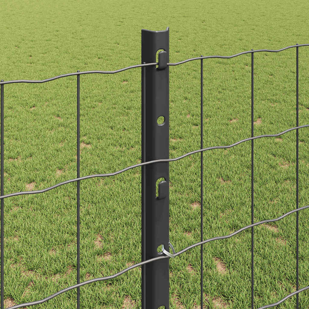 Recinzione in Rete Saldata Acciaio PVC 10 x 1,2 m