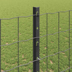 Recinzione in Rete Saldata Acciaio PVC 10 x 1,2 m