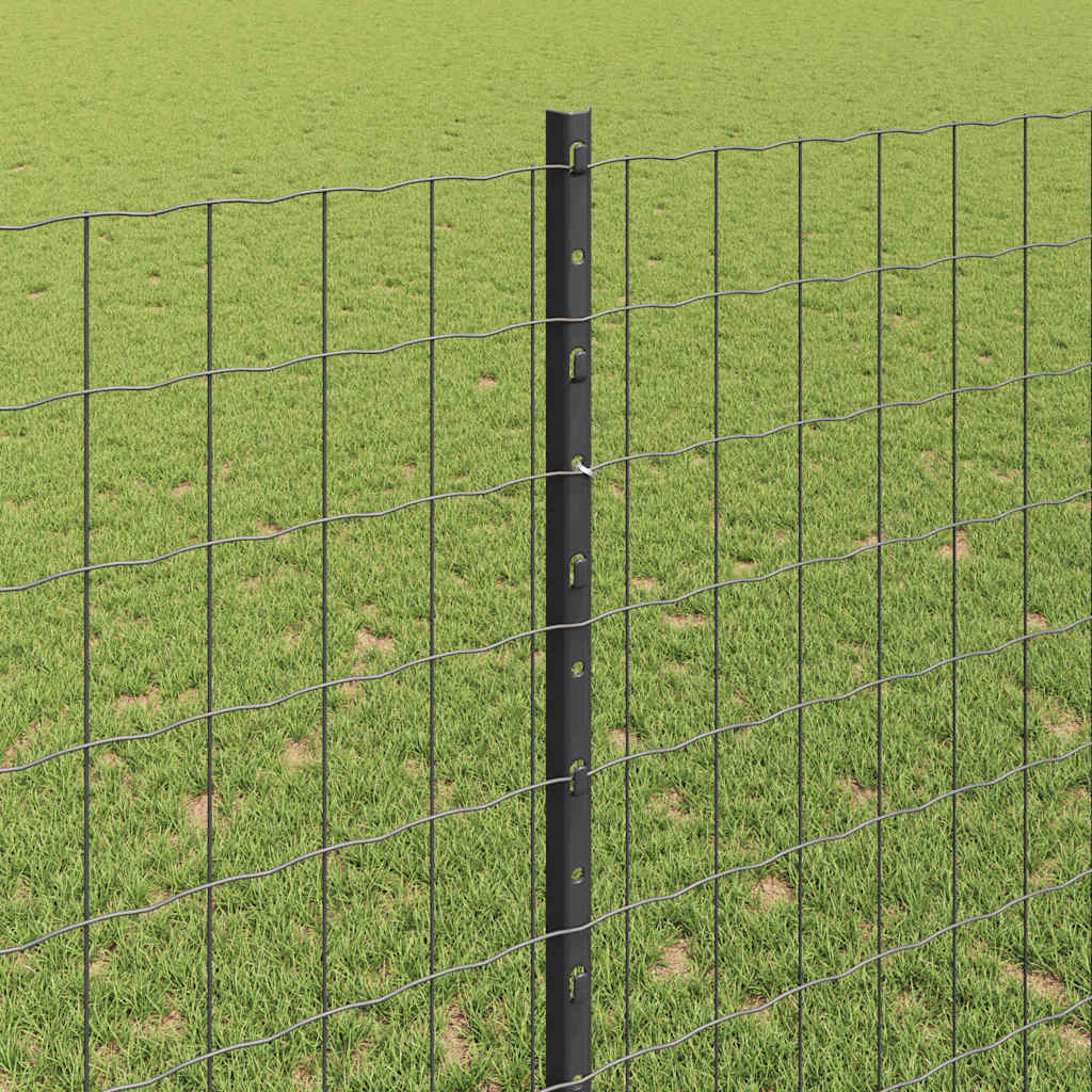 Recinzione in Rete Saldato Acciaio PVC 10 x 1,4 m