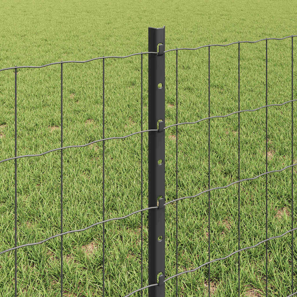 Recinzione in Rete Saldato 10 x 0,6 m - Acciaio Rivestito PVC Grigio