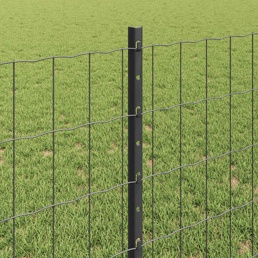 Recinzione in Rete Saldato 10 x 0,8 m (L x H) - Acciaio Rivestito PVC Grigio