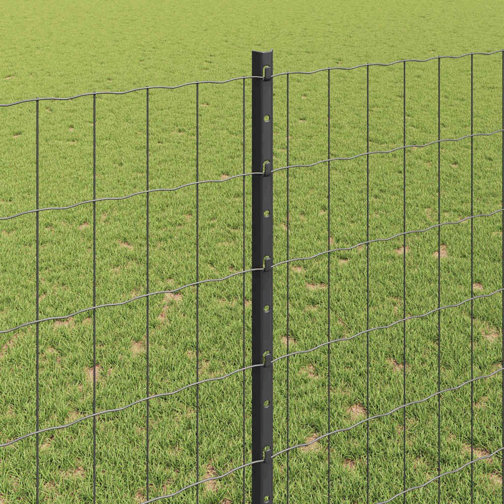 Recinzione in Rete Saldato Acciaio PVC 10 x 1,4 m