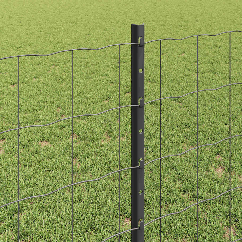 Recinzione in Rete Saldato 10 x 0,8 m Acciaio PVC Grigio
