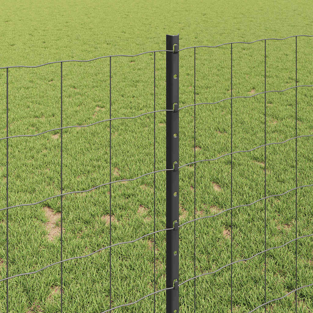 Recinzione in Rete Saldato 10 x 1 m Acciaio Grigio