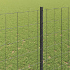 Recinzione in Rete Saldato Acciaio PVC 10 x 1,4 m