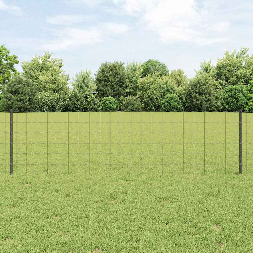 Recinzione in Rete Saldato 10 x 0,6 m Acciaio PVC Grigio