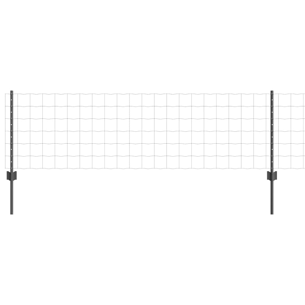 Recinzione in Rete Saldato 10 x 0,6 m Acciaio PVC Grigio