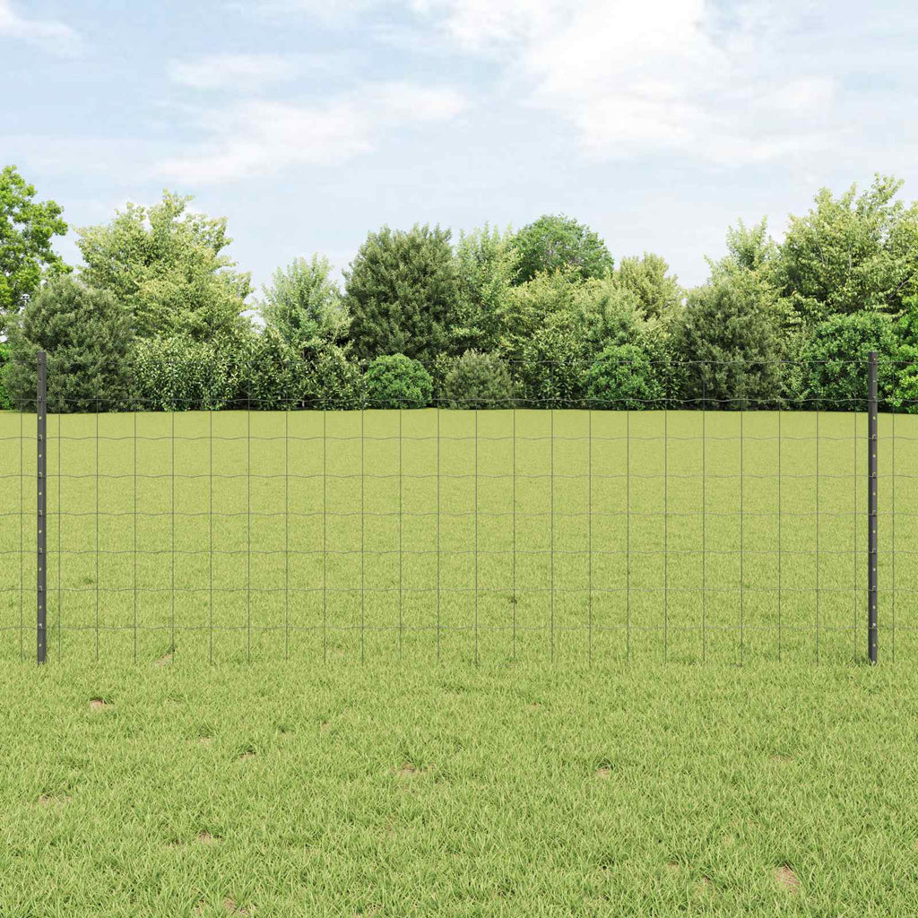 Recinzione in Rete Saldato 10 x 0,8 m Acciaio Grigio