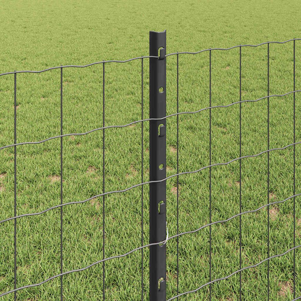 Recinzione in Rete Saldata 25 x 0,8 m - Acciaio Rivestito PVC Grigio