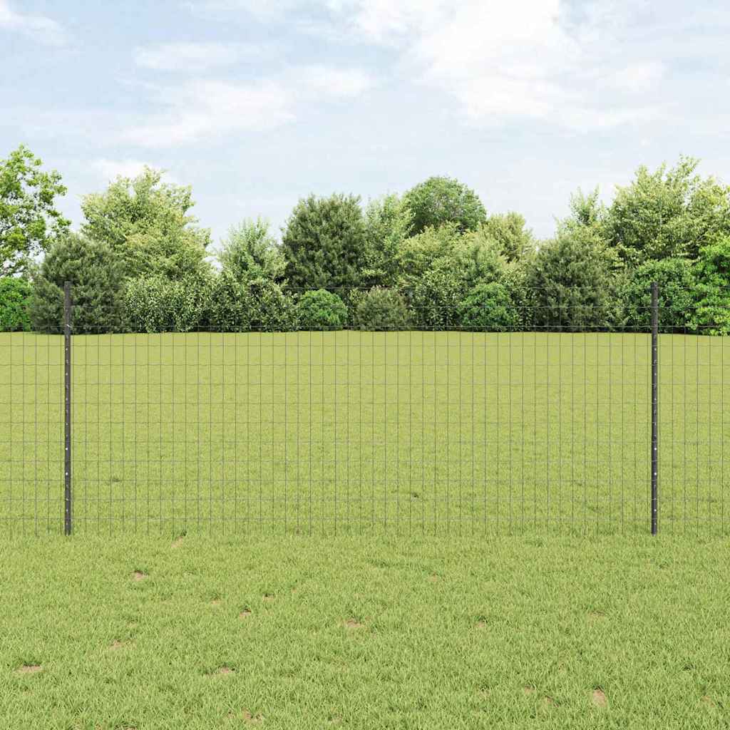 Recinzione in Rete Saldato Acciaio PVC 25 x 1 m