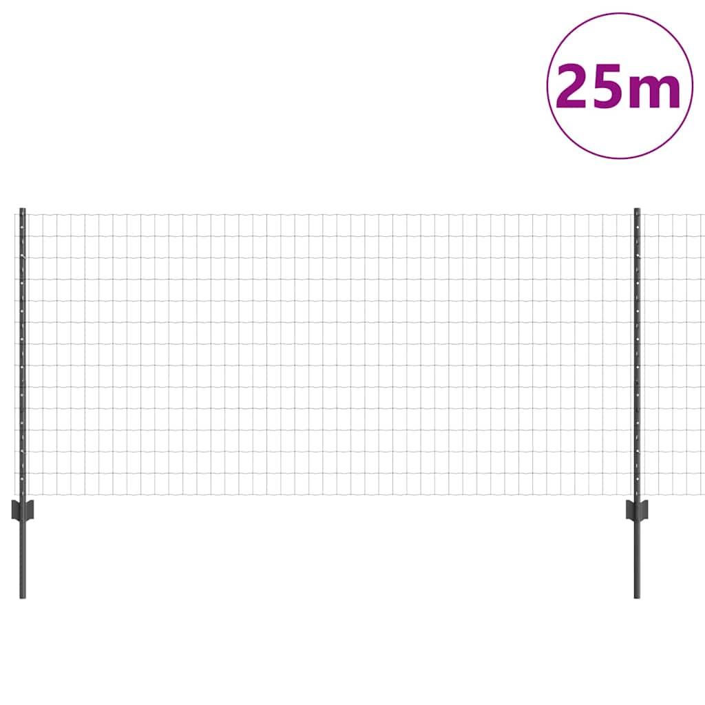 Recinzione in Rete Saldato Acciaio PVC 25 x 1 m