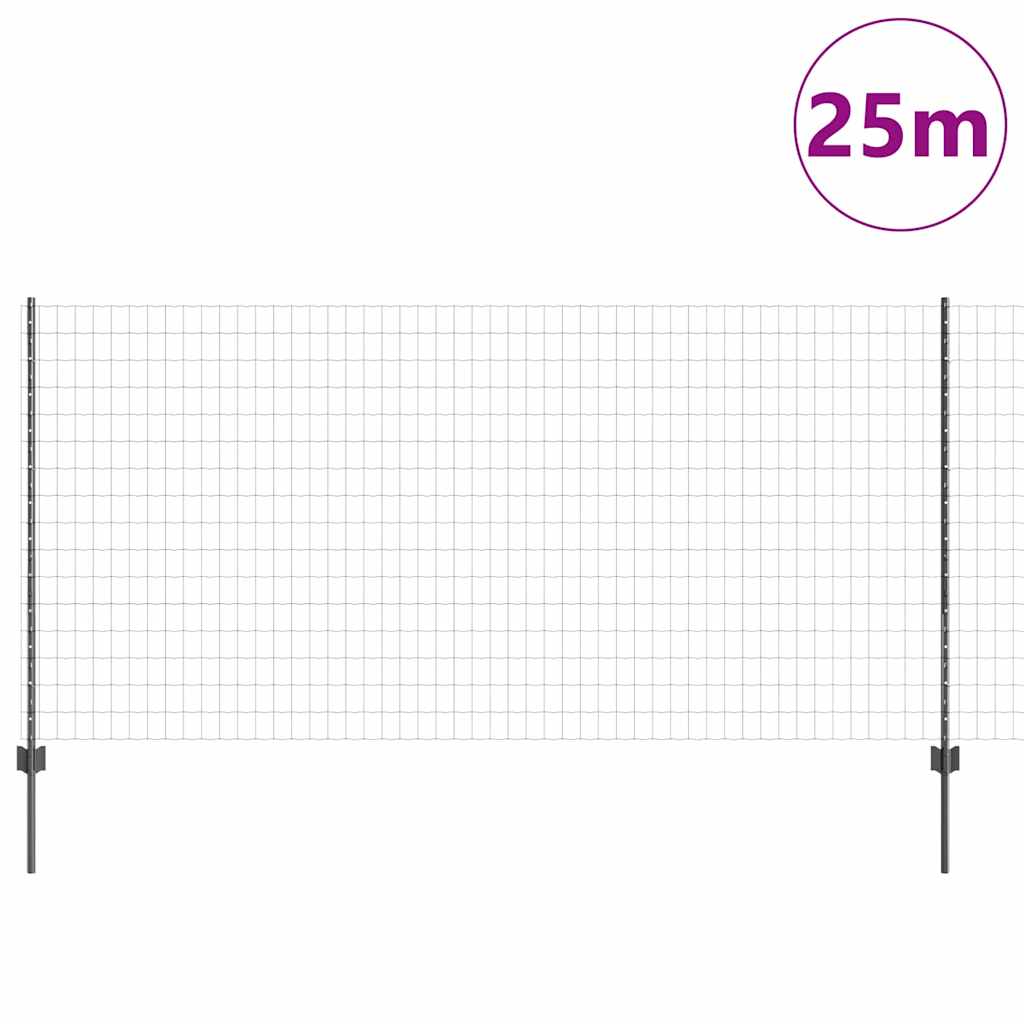 Recinzione in Rete Saldato Acciaio PVC 25 x 1,2 m
