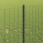 Recinzione in Rete Saldata Acciaio PVC 25 x 1 m