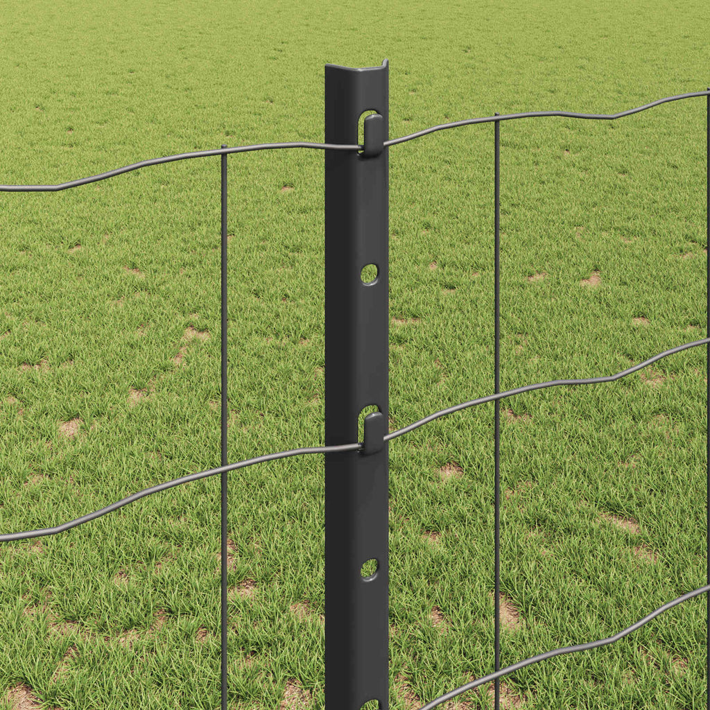 Recinzione in Rete Saldato Acciaio PVC 25 x 1,2 m