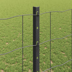 Recinzione in Rete Saldato Acciaio PVC 25 x 1,2 m