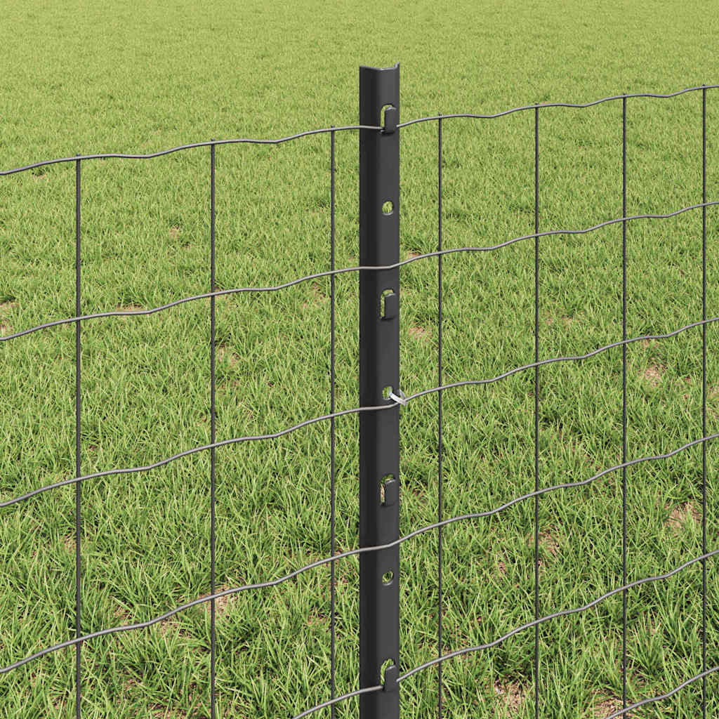 Recinzione in Rete Saldato 10 x 0,6 m Acciaio Rivestito PVC Grigio