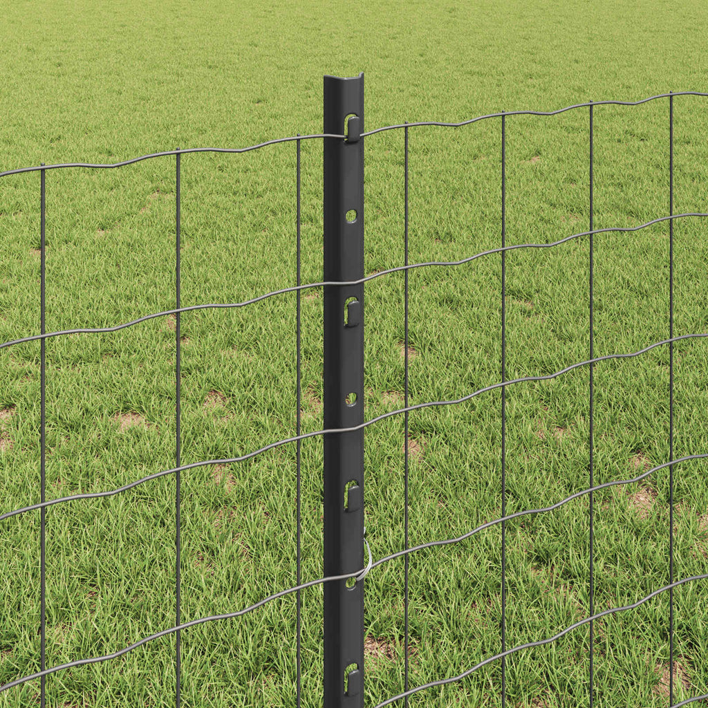 Recinzione in Rete Saldato 10 x 0,8 m Acciaio PVC Grigio