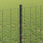 Recinzione in Rete Saldata 25 x 0,8 m Acciaio PVC Grigio