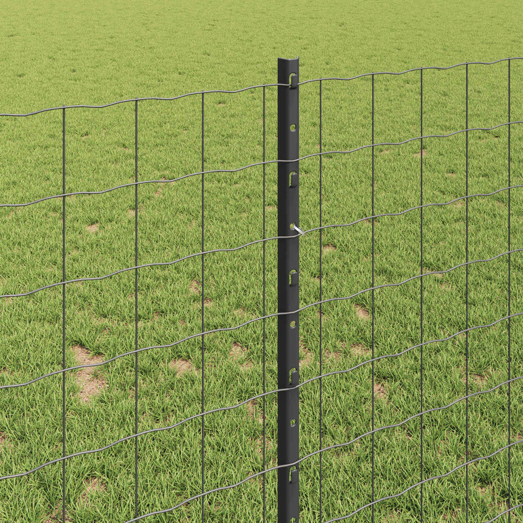 Recinzione in Rete Saldata Acciaio PVC 25 x 1 m