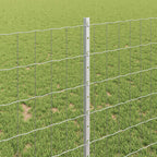 Recinzione in Rete Saldata Acciaio Zincato 10 x 1 m