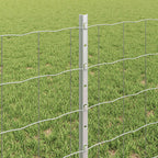 Recinzione in Rete Saldato Acciaio Zincato 10 x 0,6 m