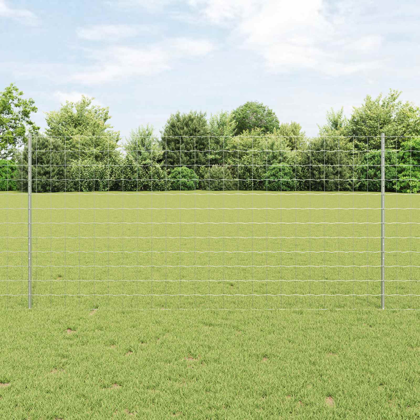 Recinzione in Rete Saldato 25 x 1,2 m Acciaio Zincato
