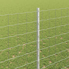 Recinzione in Rete Saldato Acciaio Zincato 10 x 1,6 m