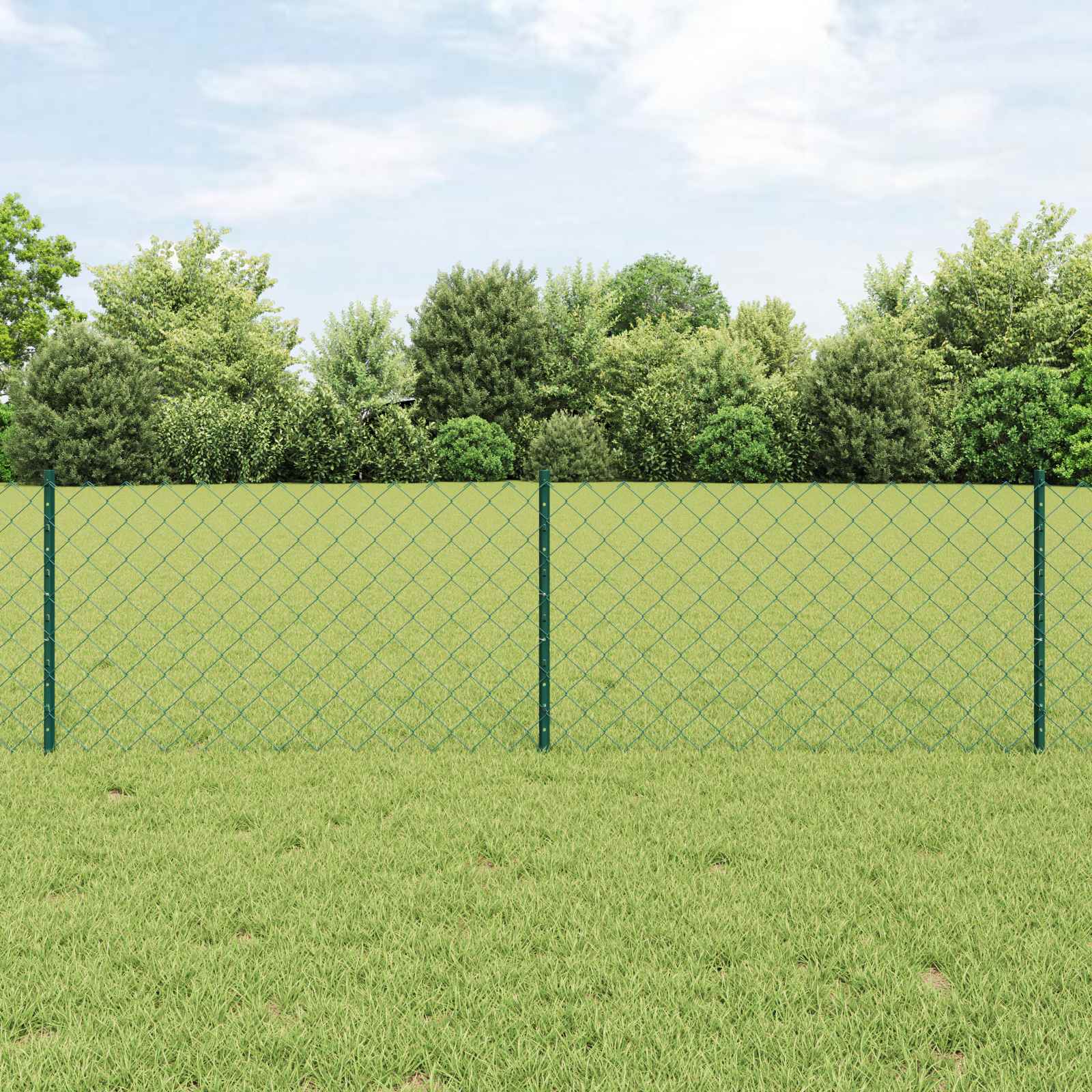 Recinzione a maglie metalliche con palo 10 x 0,6 m (L x H)