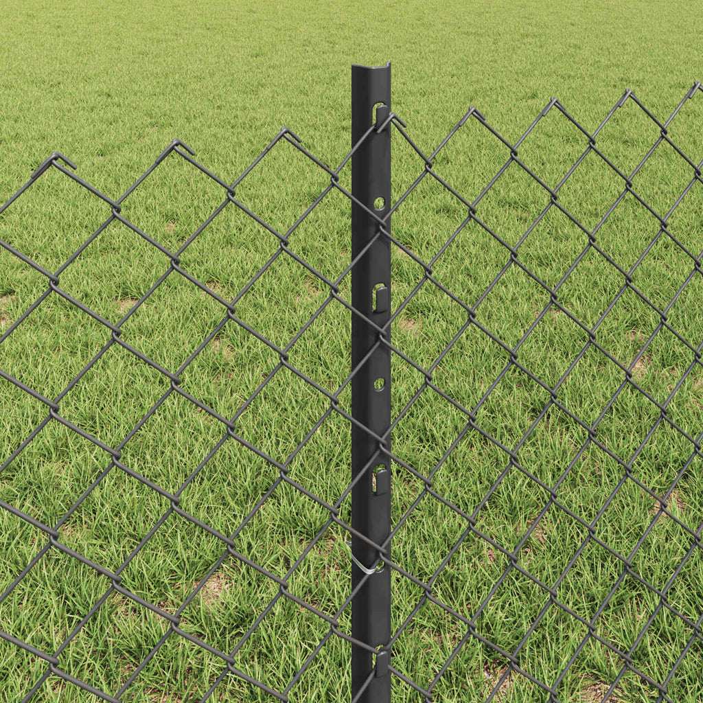 Recinzione a maglie metalliche con palo 10 x 0,6 m (L x H)