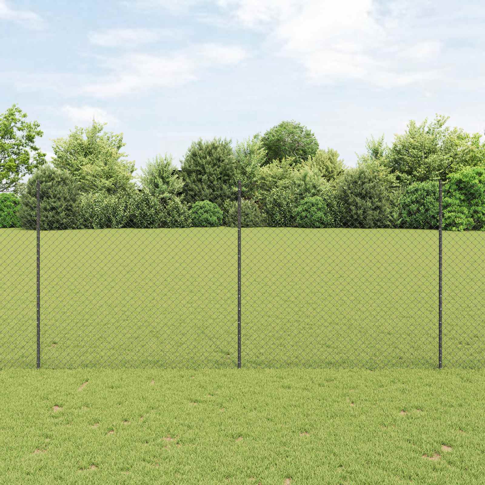 Recinzione a maglie metalliche con pali 10 x 1,4 m