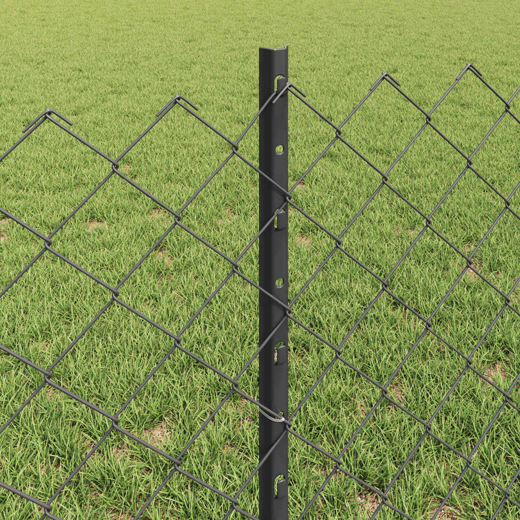 Recinzione a maglie metalliche con palo 10 x 0,6 m (L x H)