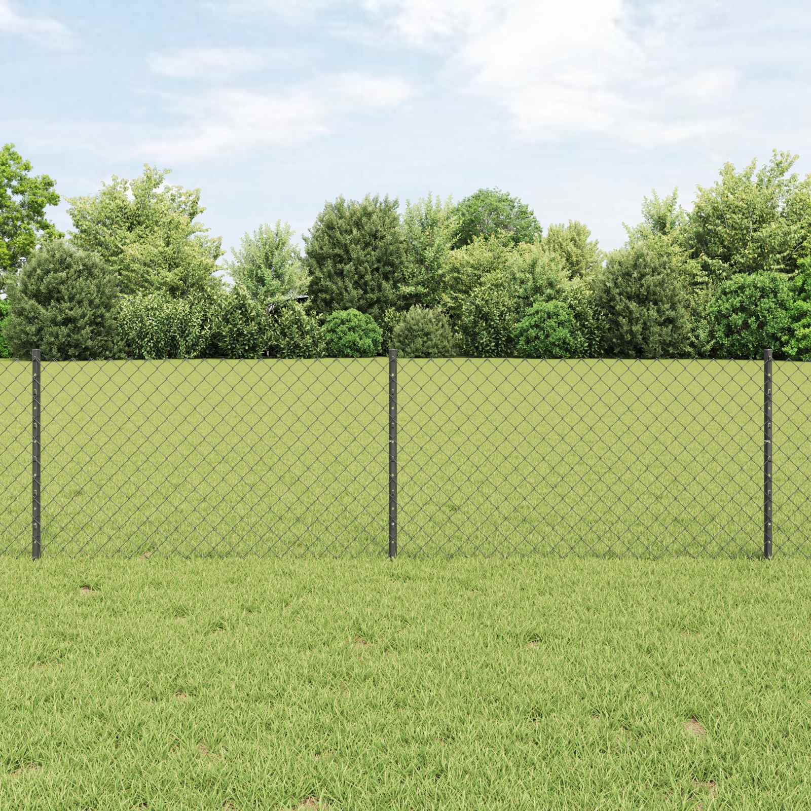 Recinzione a maglie metalliche con palo 25 x 0,6 m (P x H)