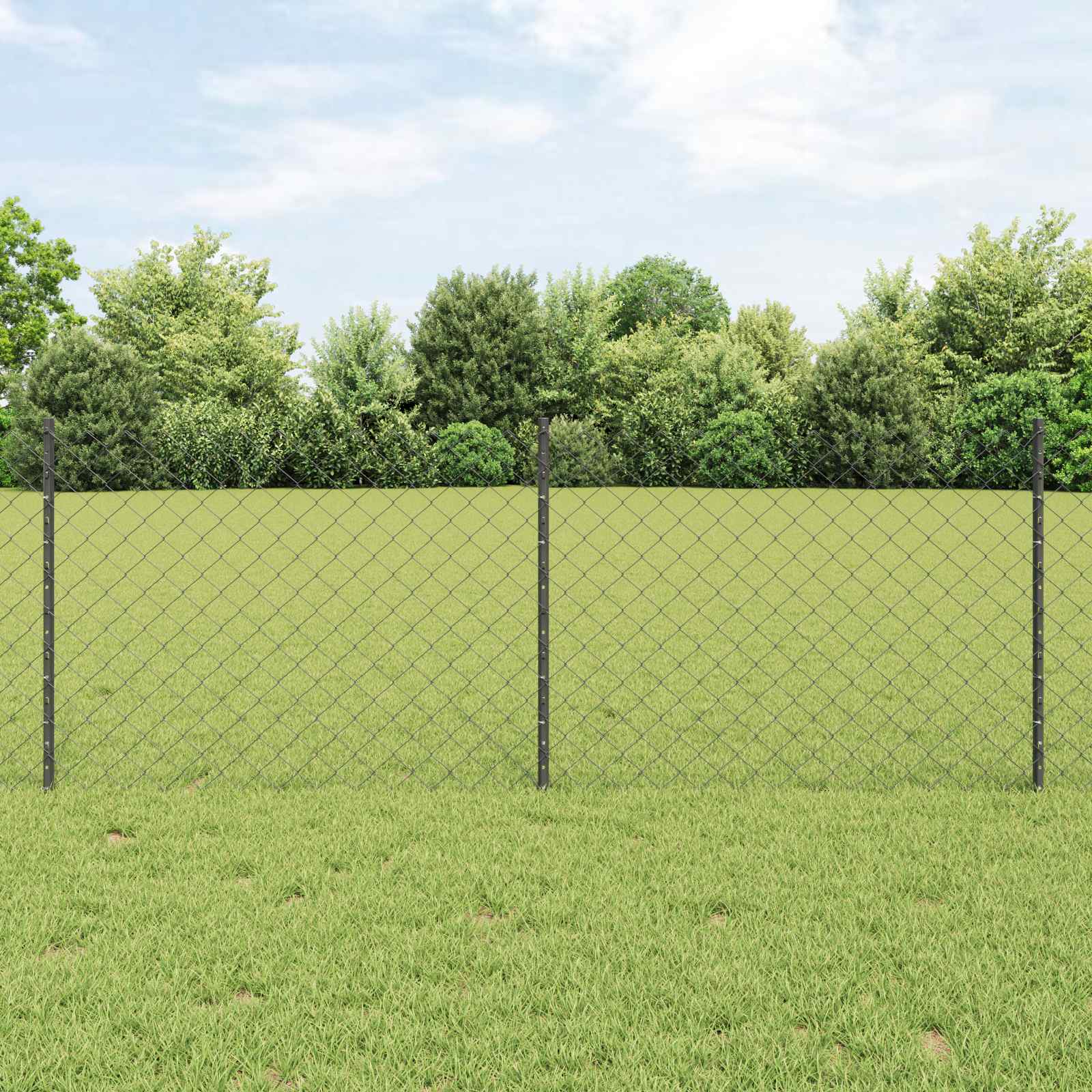 Recinzione a maglie metalliche con palo 25 x 0,8 m - Acciaio zincato grigio