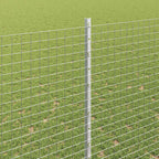 Recinzione in rete saldata con pali 10 x 1,6 m - Acciaio zincato