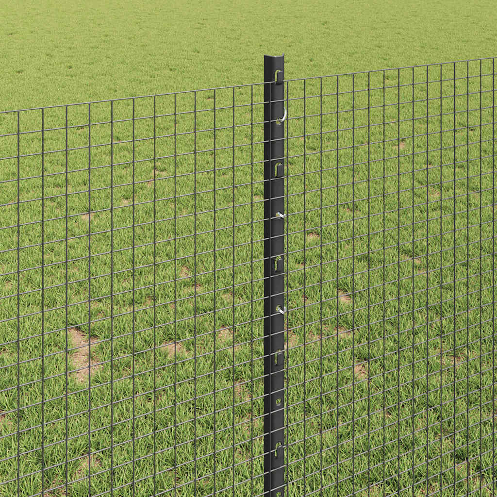 Recinzione in rete saldata con palo 10 x 1 m (L x H)