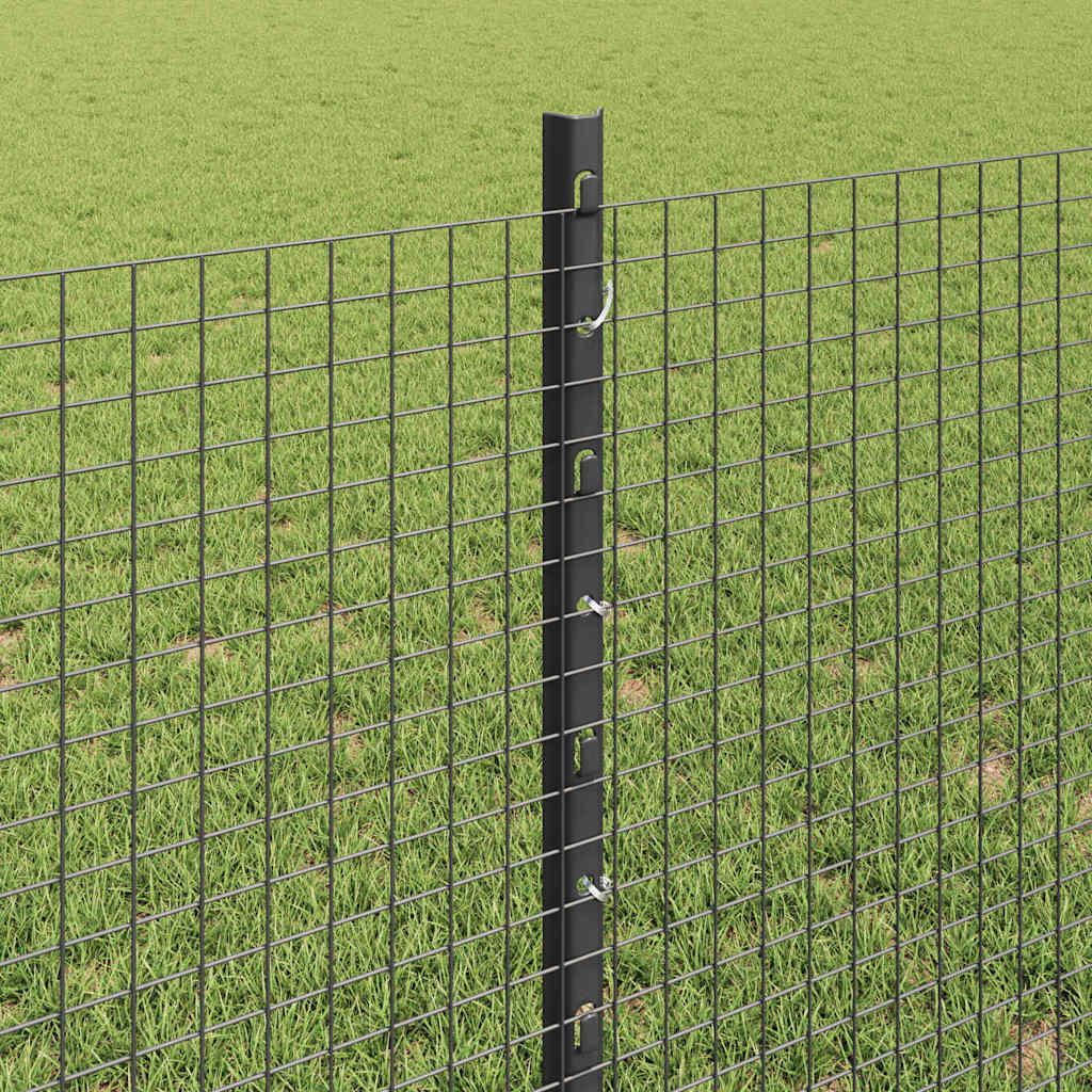 Recinzione in rete saldata con palo 25 x 0,8 m