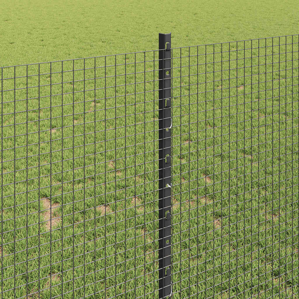 Recinzione in rete saldata con palo 25 x 1 m (L x H)