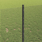 Recinzione in rete saldata con palo 50 x 1 m (P x H)