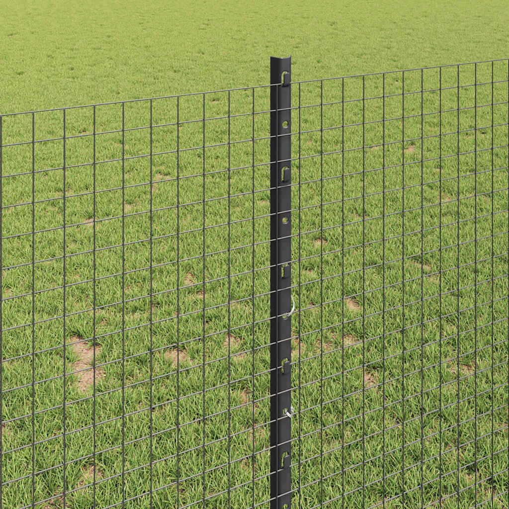 Recinzione in rete saldata con palo 50 x 1 m (L x H)