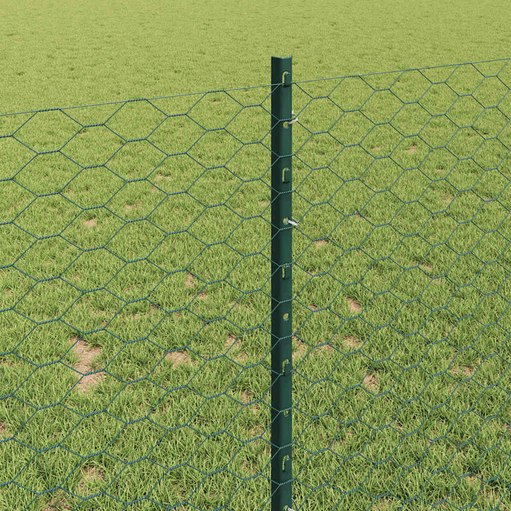 Recinzione in Rete Saldato Acciaio PVC 10 x 1 m