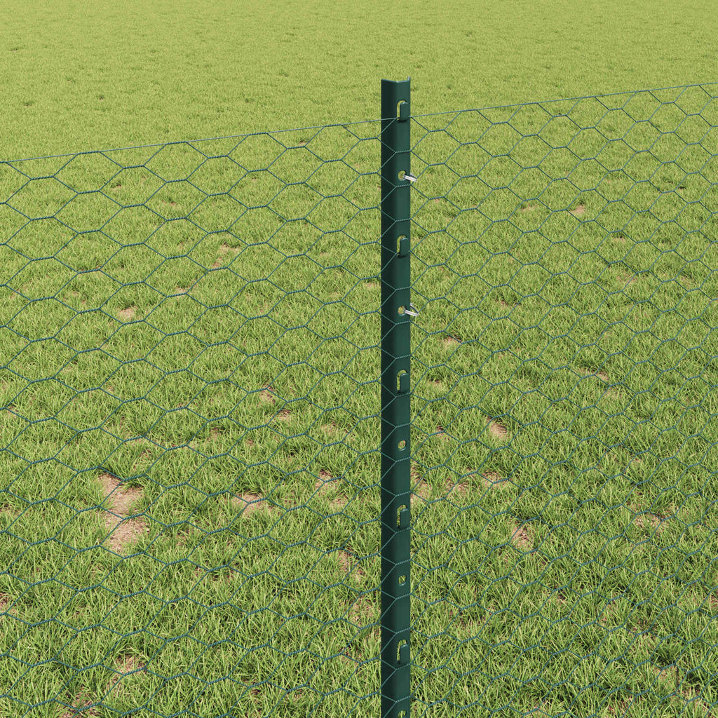 Recinzione in Rete Saldato Acciaio PVC 25 x 1 m