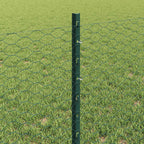Recinzione in Rete Saldata 50 x 0,6 m - Acciaio Rivestito PVC Verde