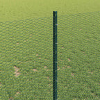 Recinzione in Rete Saldato Acciaio PVC 50 x 1 m