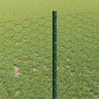 Recinzione in Rete Saldato 50 x 1 m - Acciaio Rivestito PVC Verde