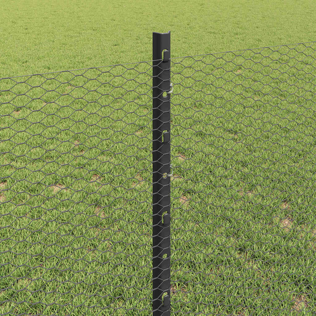 Recinzione in Rete Saldato Acciaio PVC 10 x 0,8 m